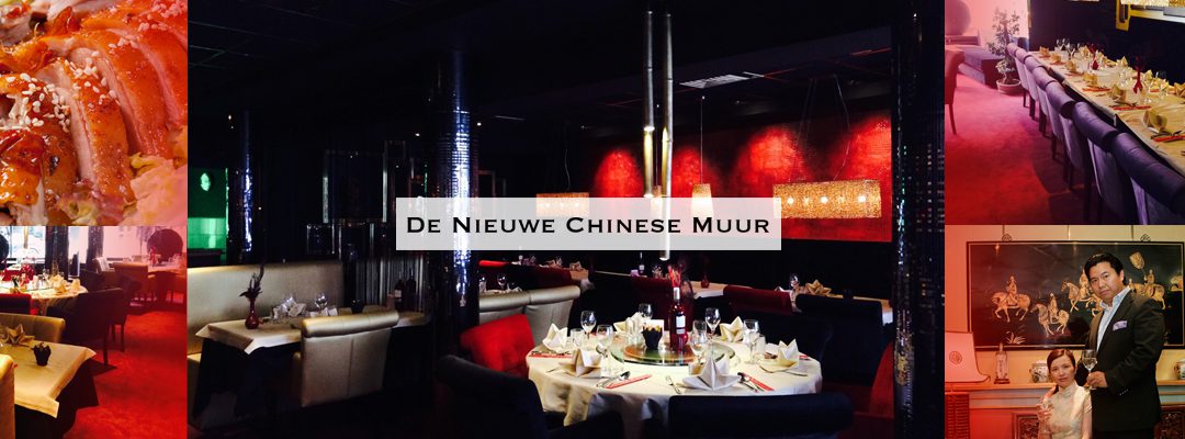 De Nieuwe Chinese Muur