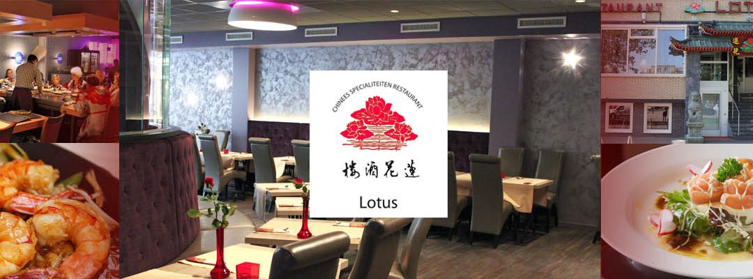 Lotus Sakura