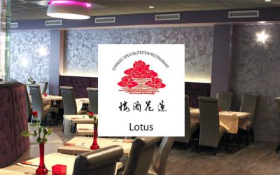 Lotus Sakura