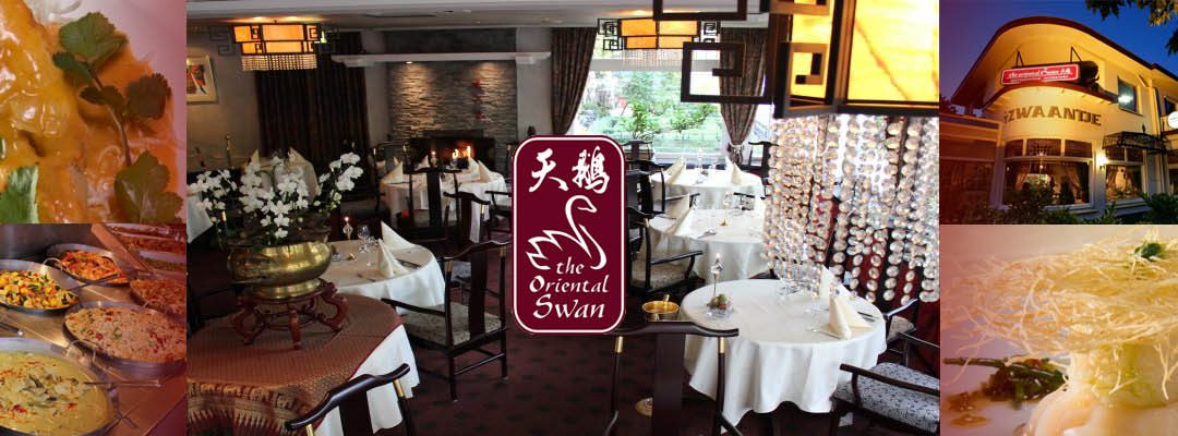 The Oriental Swan